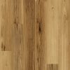 Nouvelle-Feathertop-Spotted-Gum