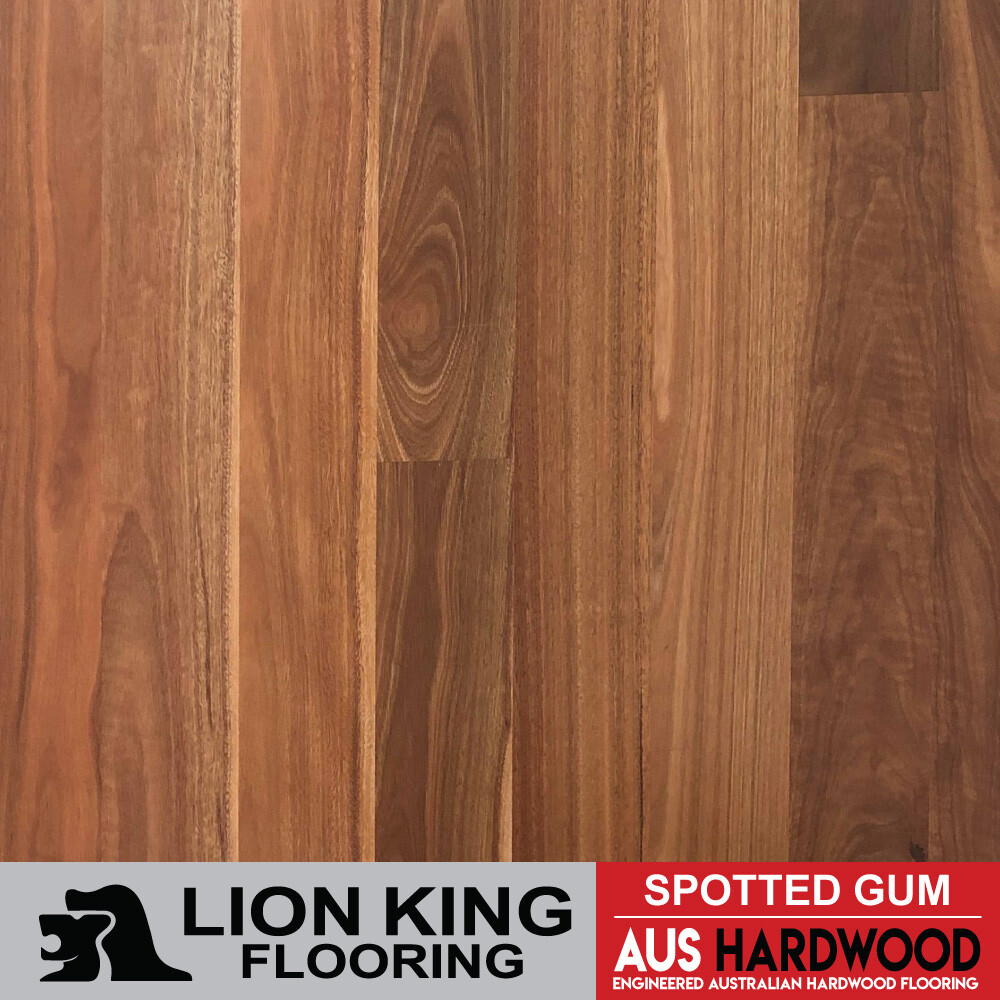 Spotted Gum Engineered Flooring 5gc Locking Lion King Flooring